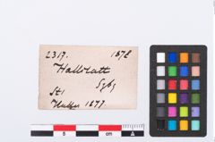 Etikett zu Bronzebogenfibel (NHMW-PRAE-002317)